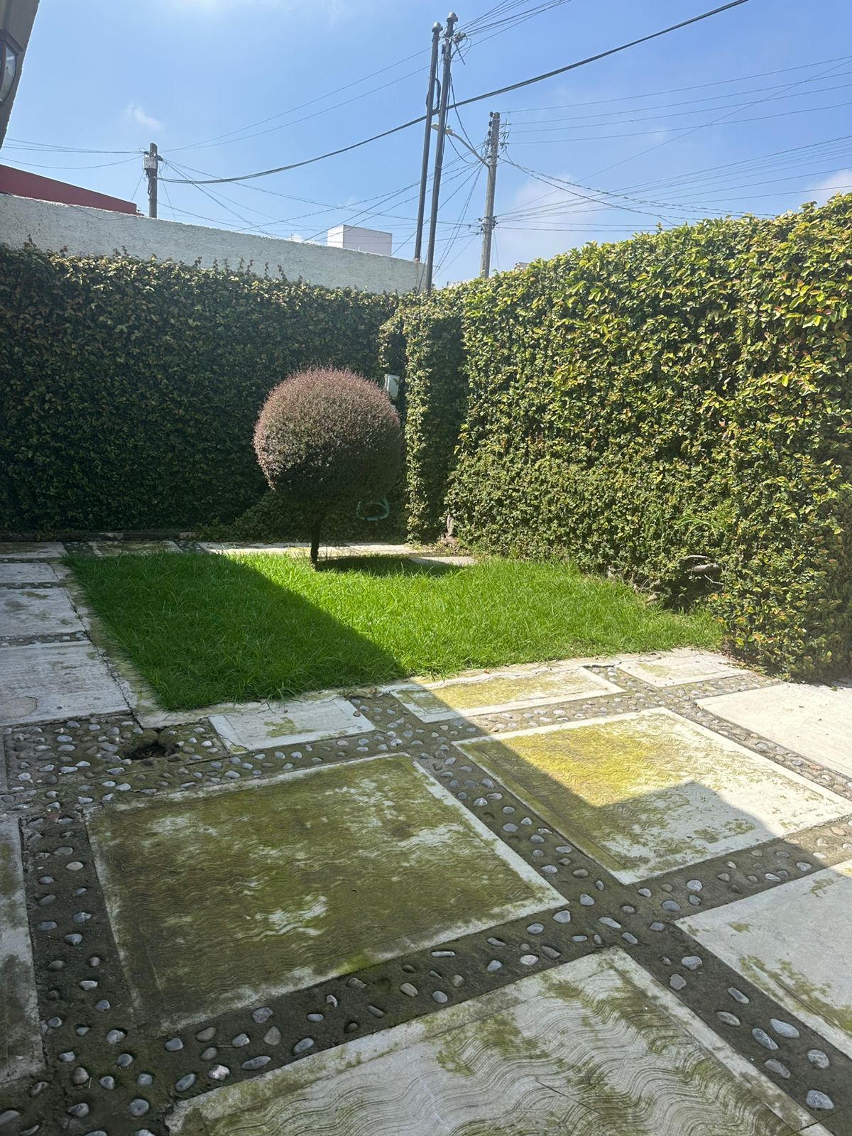 13 de 48