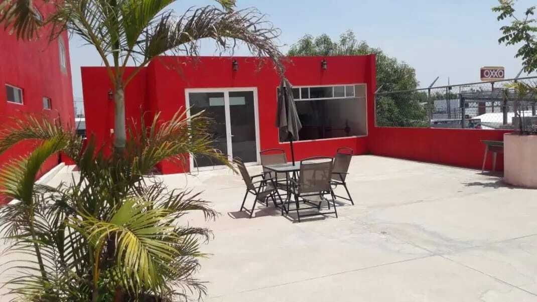 Roof Garden