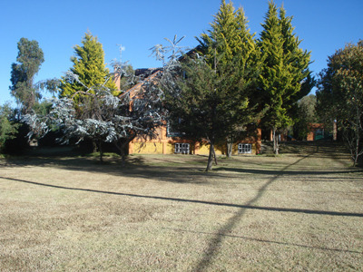 5 de 10