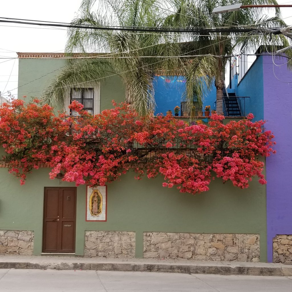 1 de 30