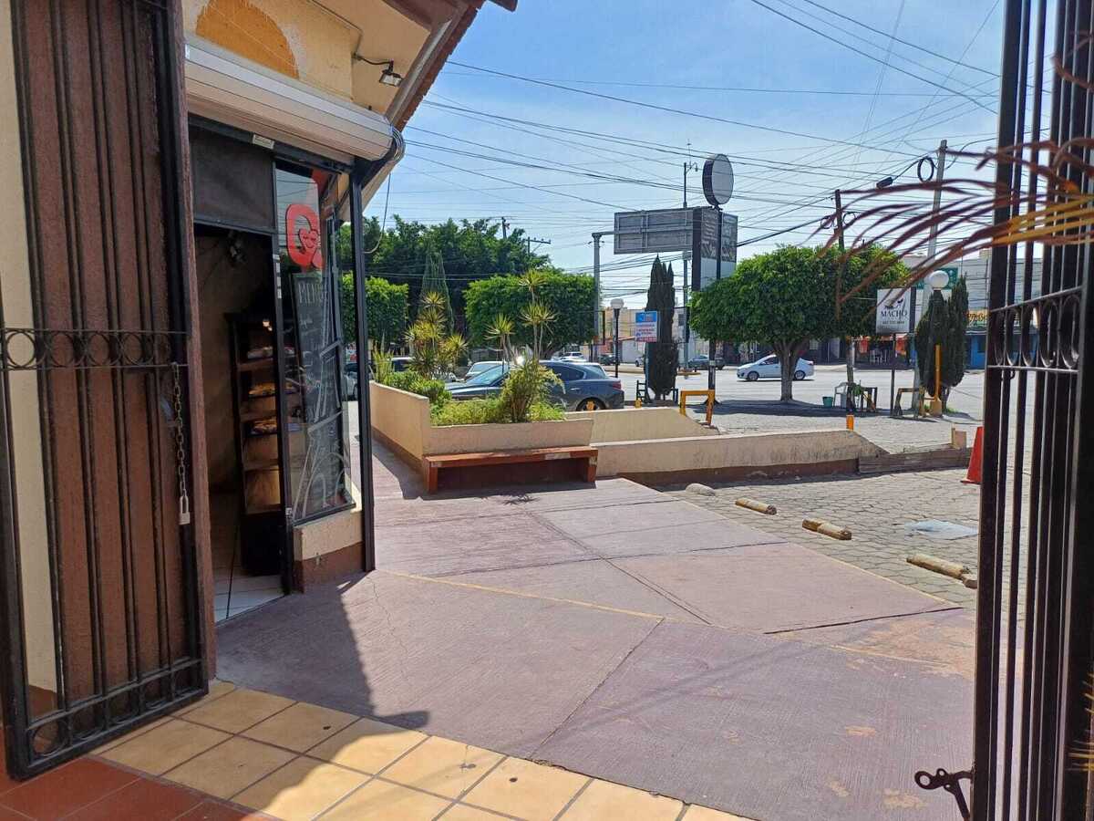 11 de 14