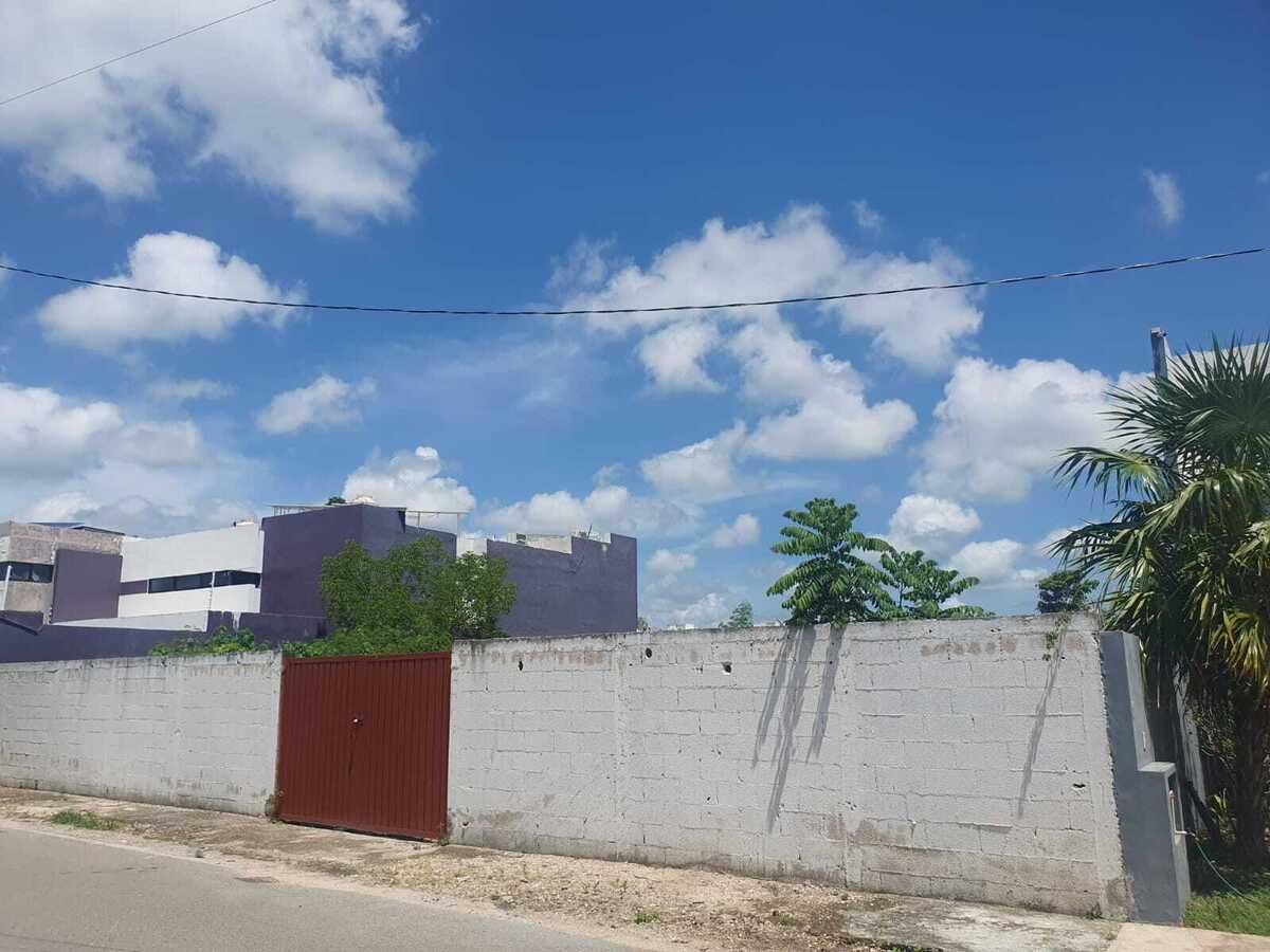 2 de 3