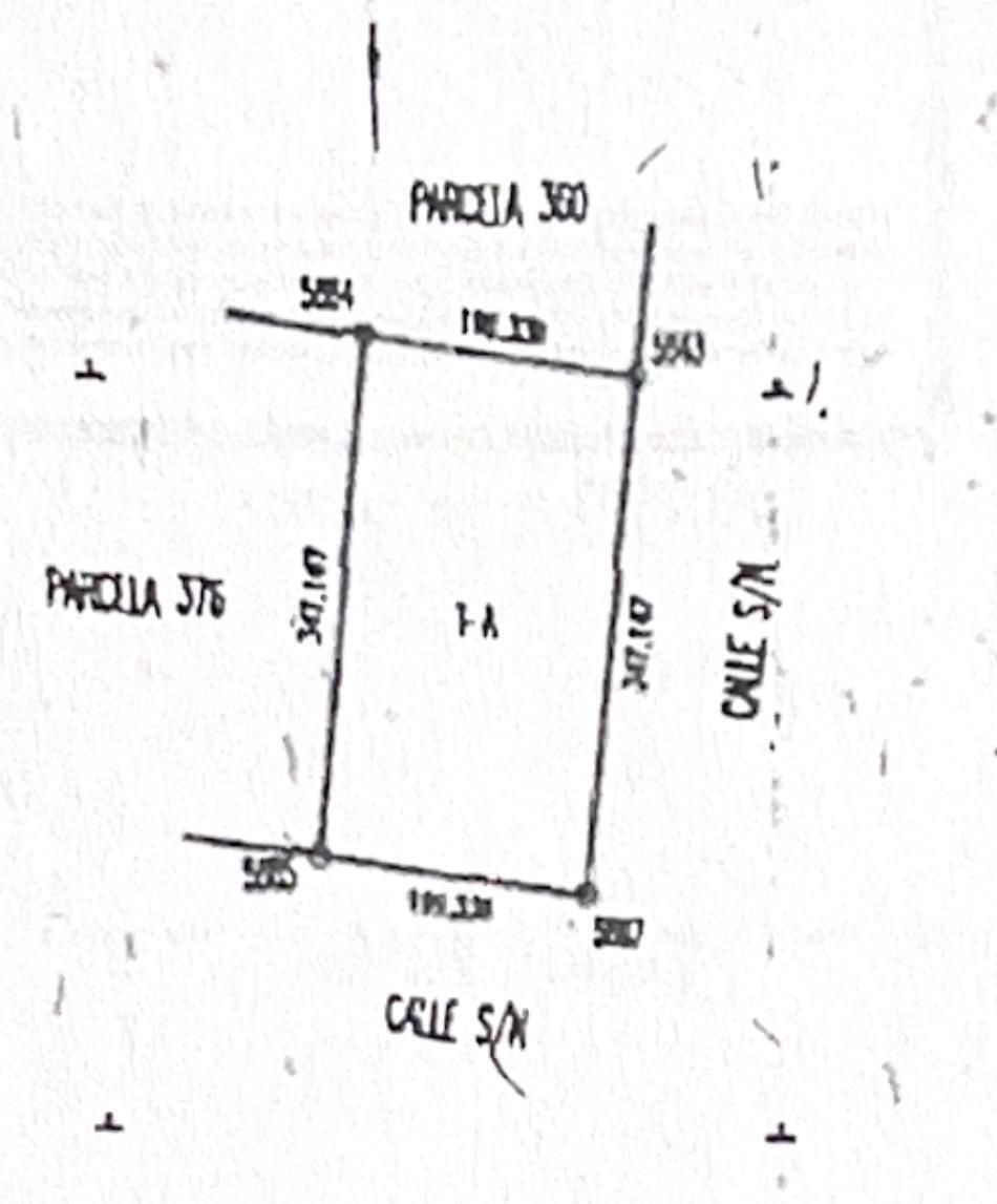 6.9 Hectáreas en Sierra Papacal - foto 3