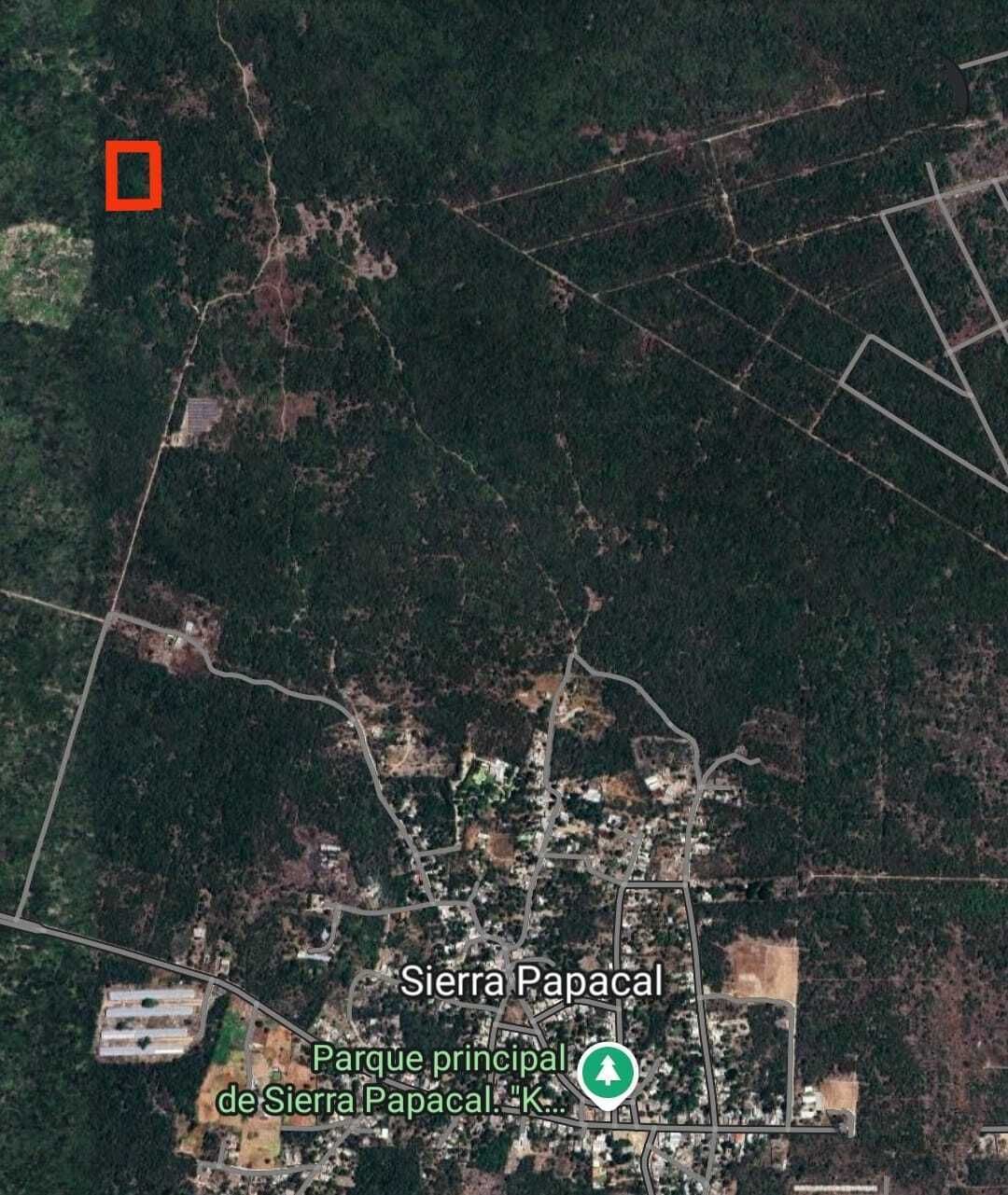 6.9 Hectáreas en Sierra Papacal - foto 2
