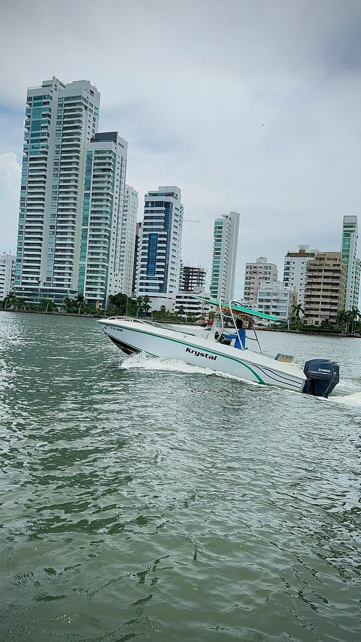 1 de 12