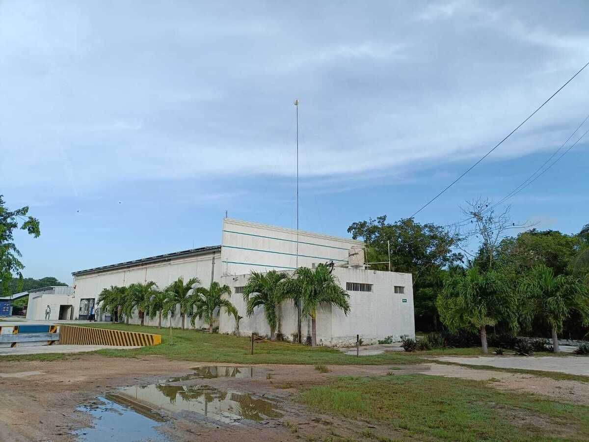 1 de 12