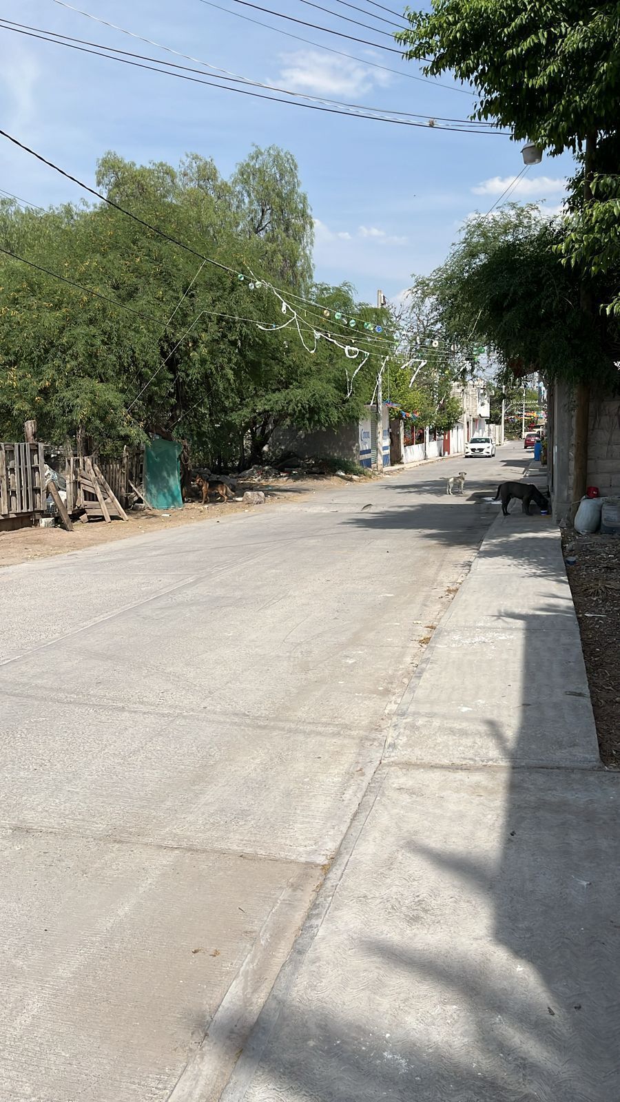 4 de 4