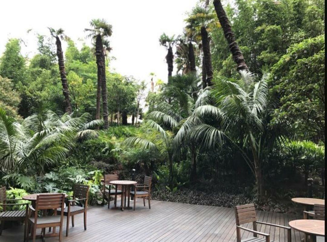 5 of 13: Terraza