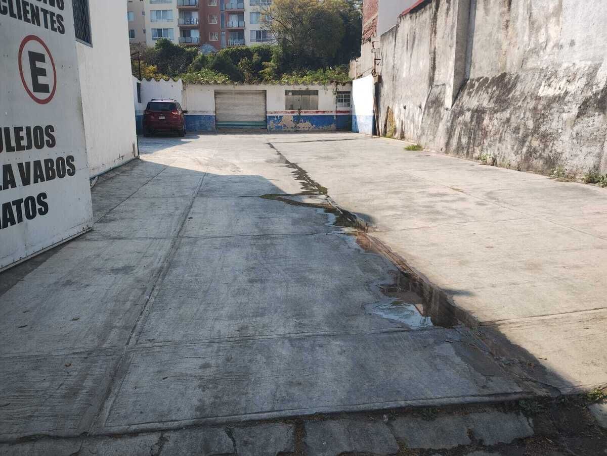 6 de 6
