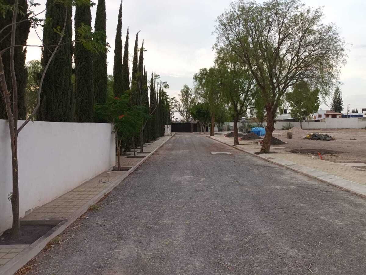 2 de 8