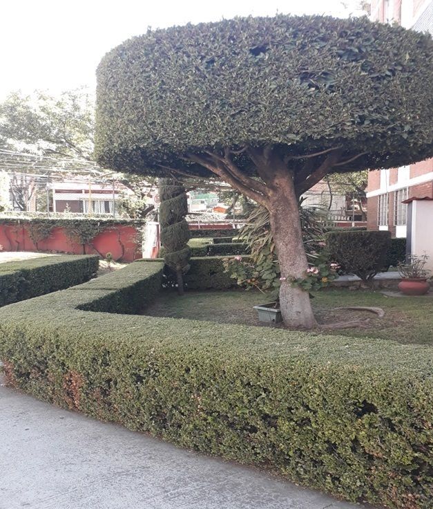 11 de 17