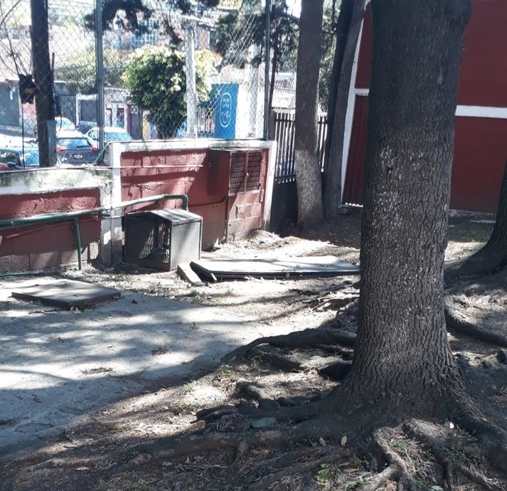 16 de 17
