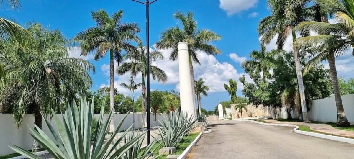 3 de 5