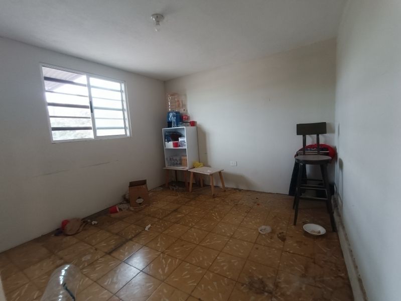 3 de 19
