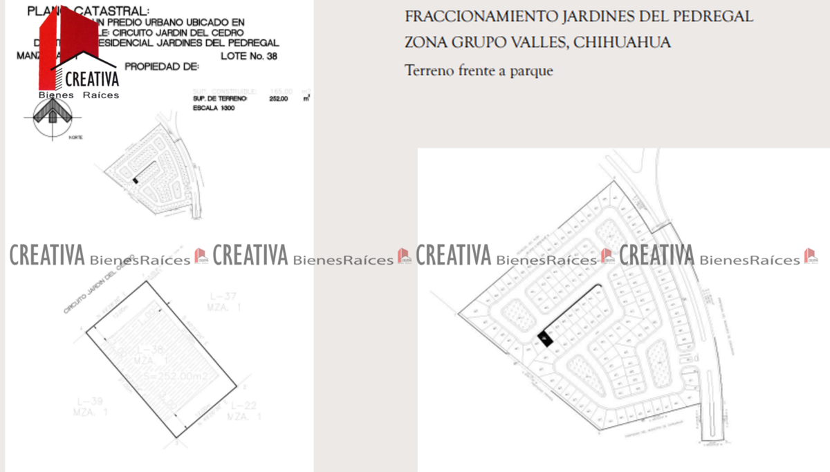 Imagen 5 de 7
