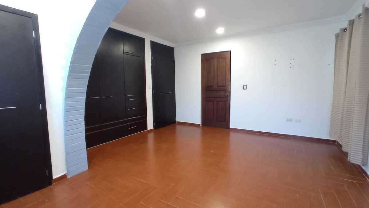 5 de 12