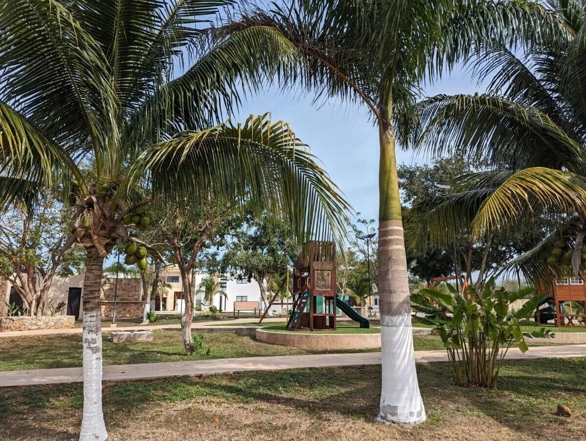 3 de 4