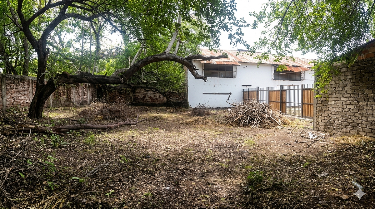 EN EL CENTRO DE COLIMA, TERRENO EN VENTA SUPER OPORTUNIDAD, CONOCELO. - foto 2