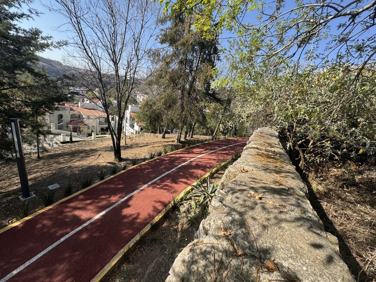5 de 20