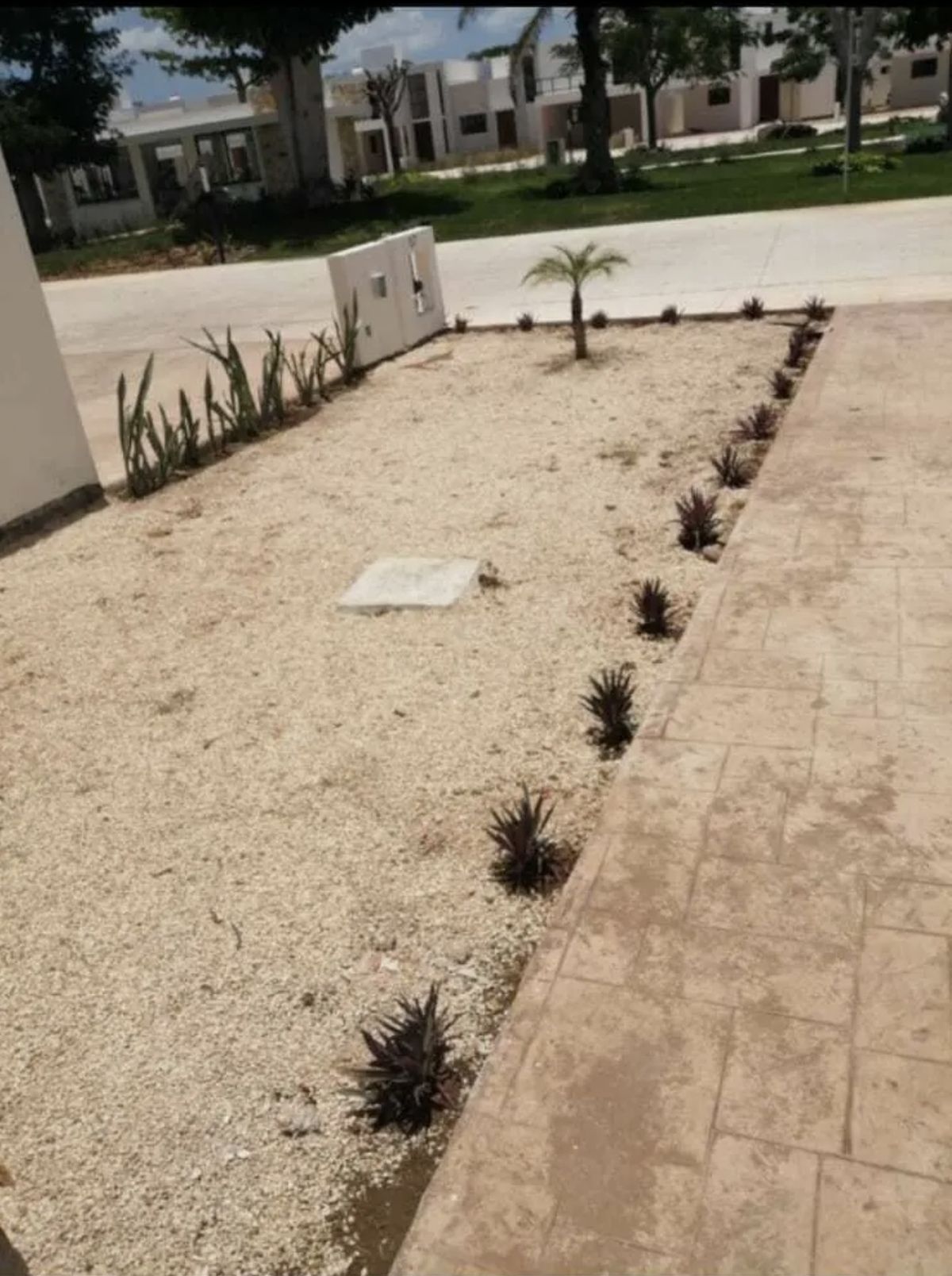 3 de 24