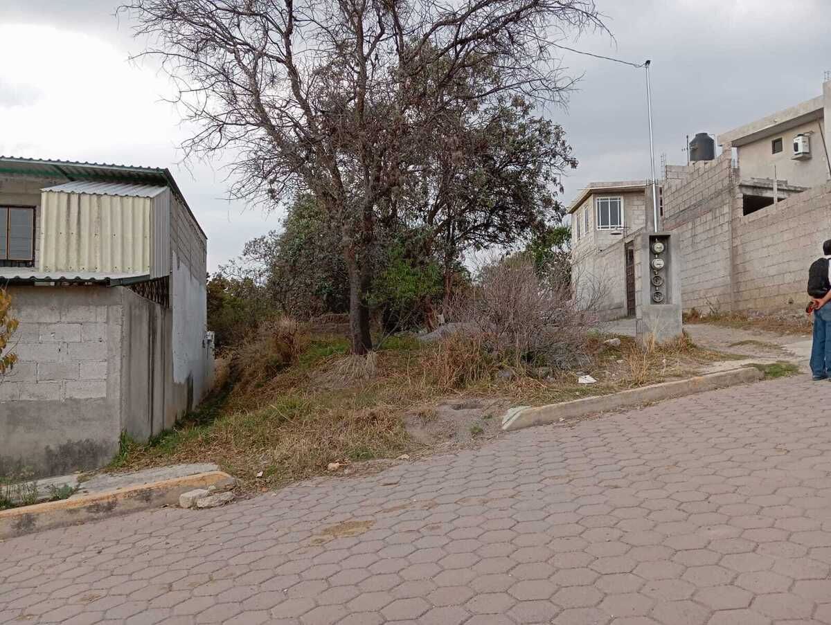 Única entrada por calle Luis D. Colosio