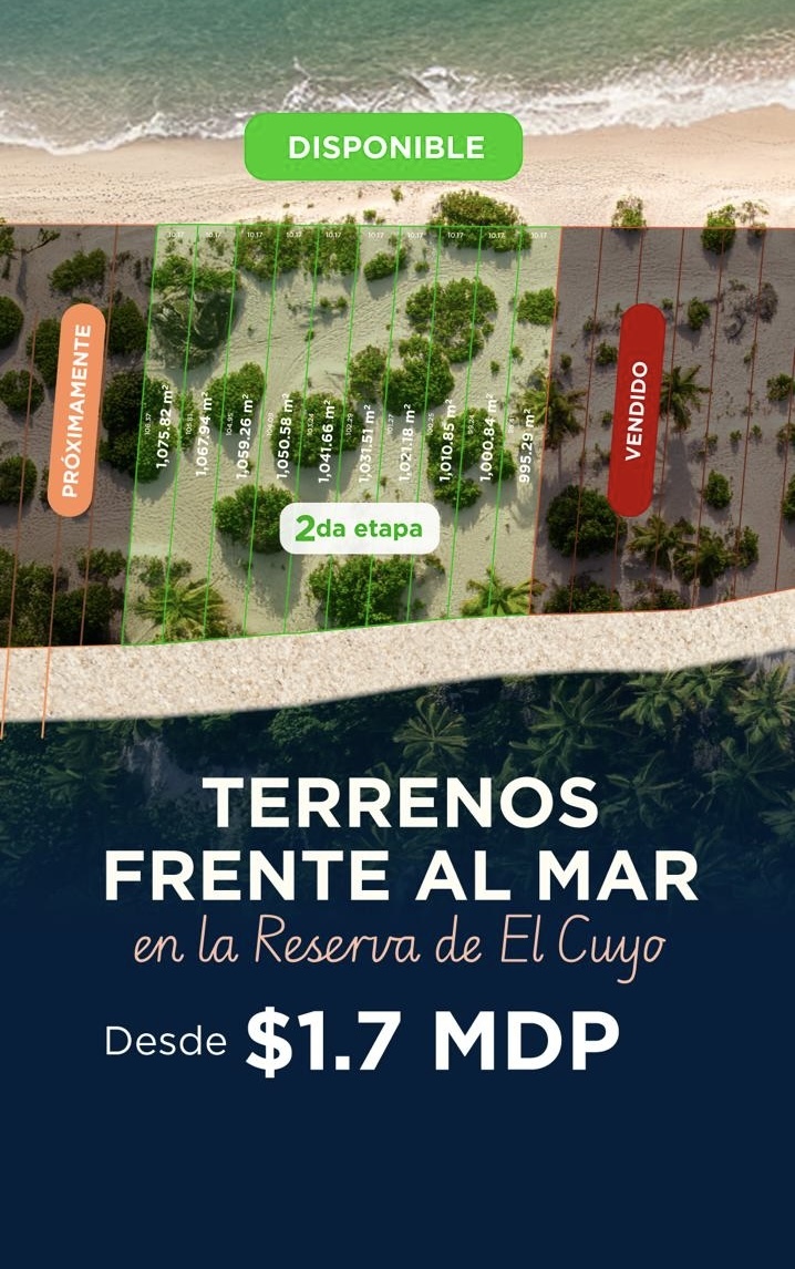 1 de 14
