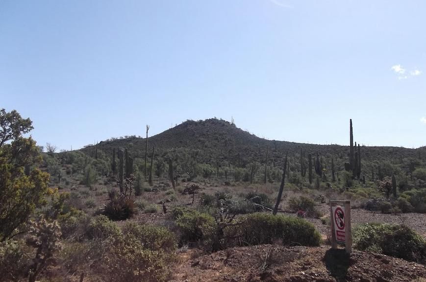 Terreno Rustico en Venta, de 1,538 Hectareas en el Rosario B.C.