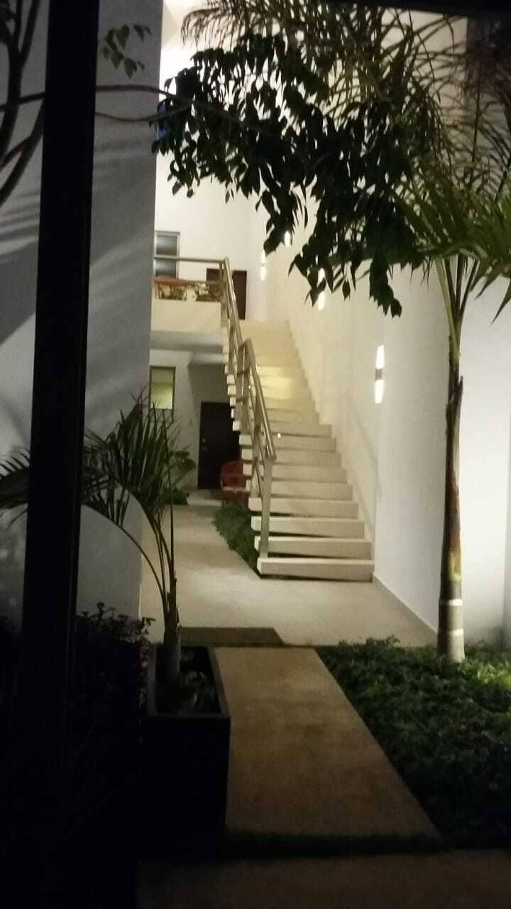 3 de 12