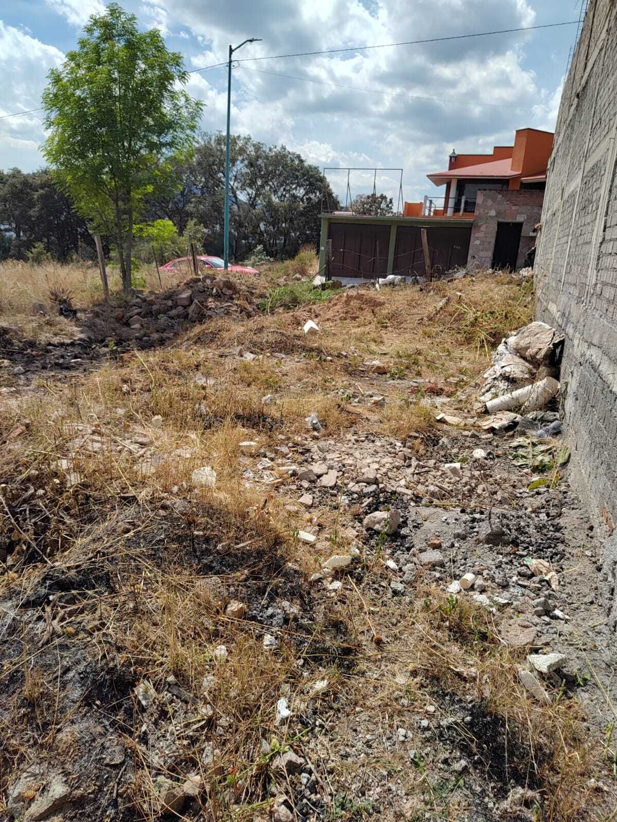 Imagen 5 de 5