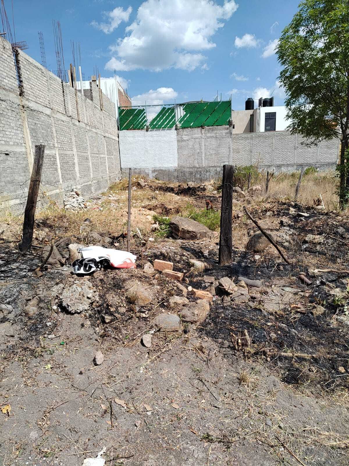 Imagen 4 de 5