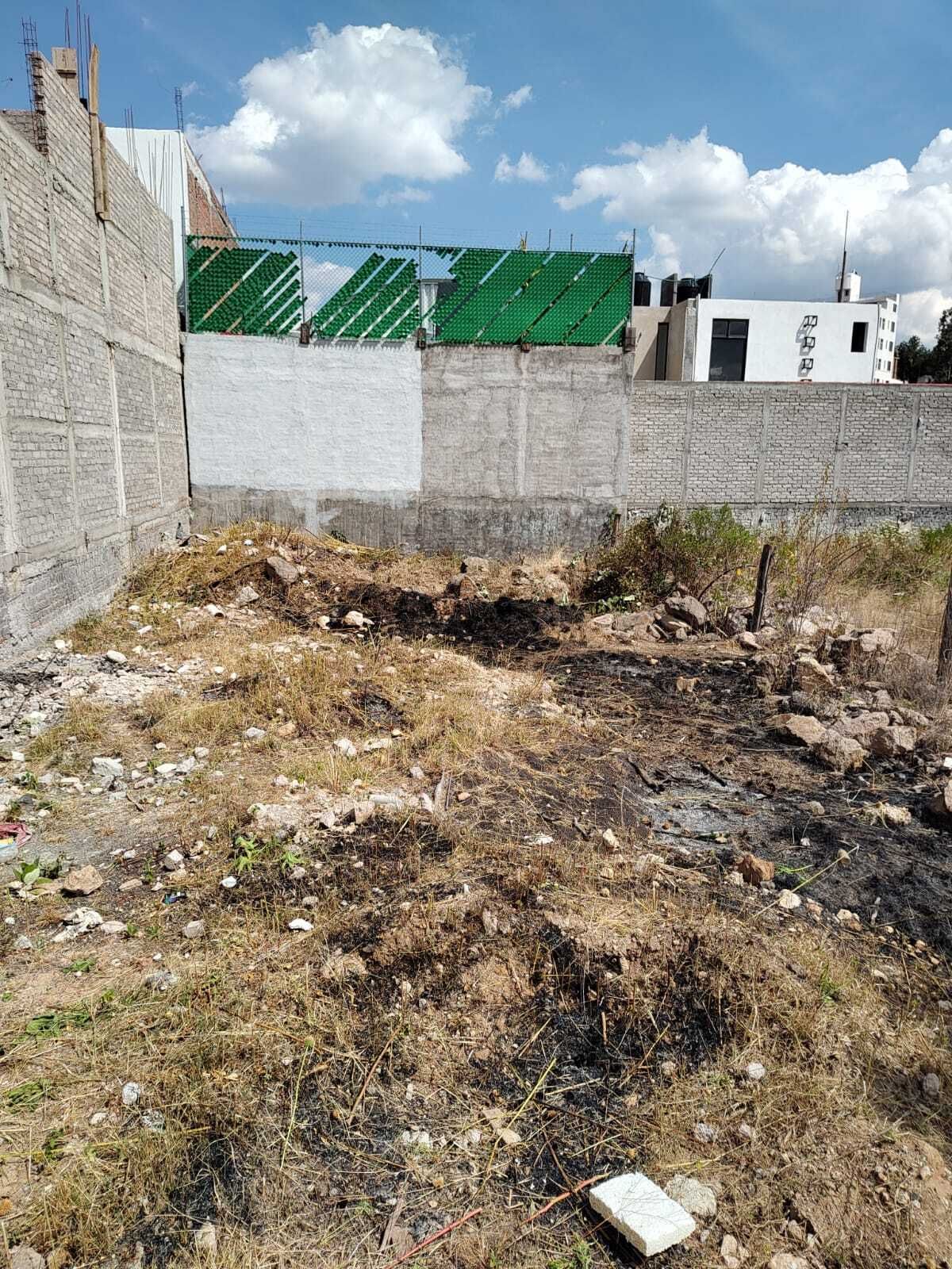 Imagen 3 de 5