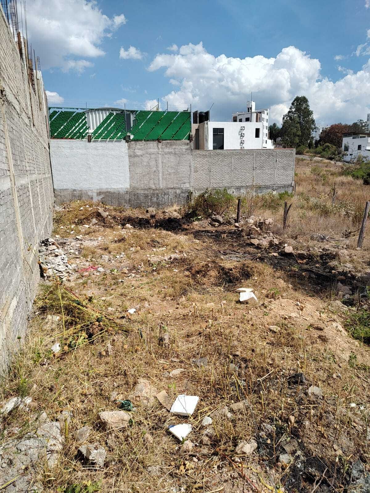 Imagen 2 de 5