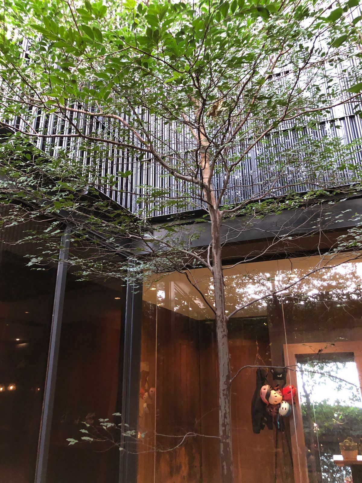 9 de 26: Árbol jardín central