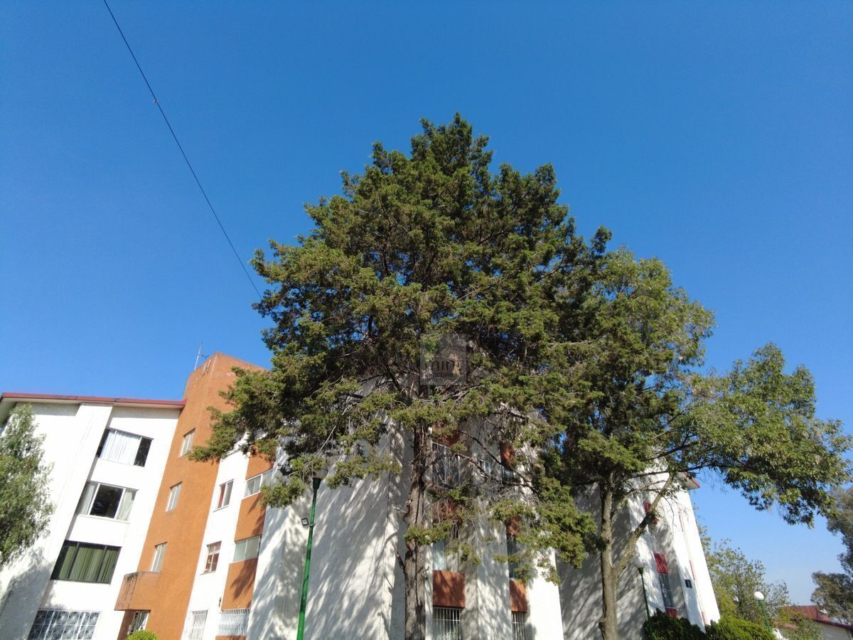 7 de 35