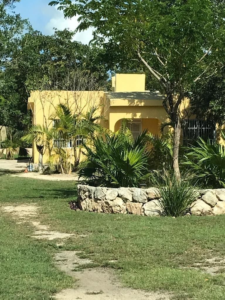 8 de 17