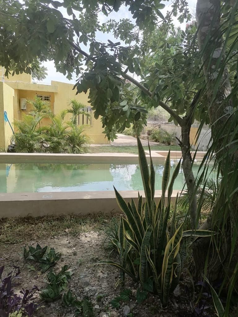 13 de 17