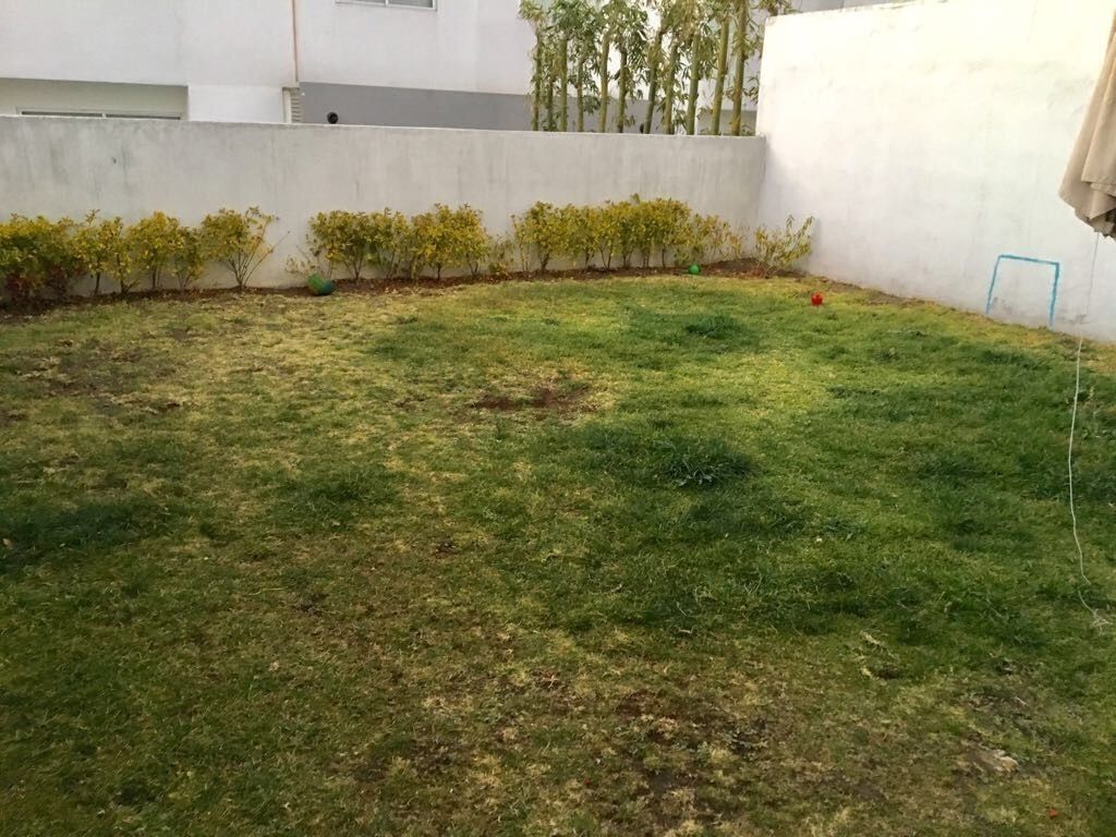 3 de 21