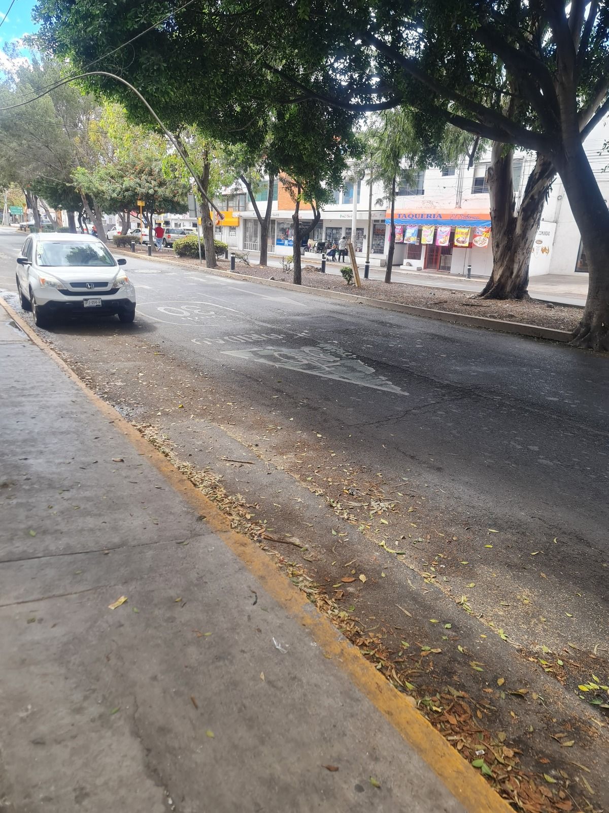 5 de 8