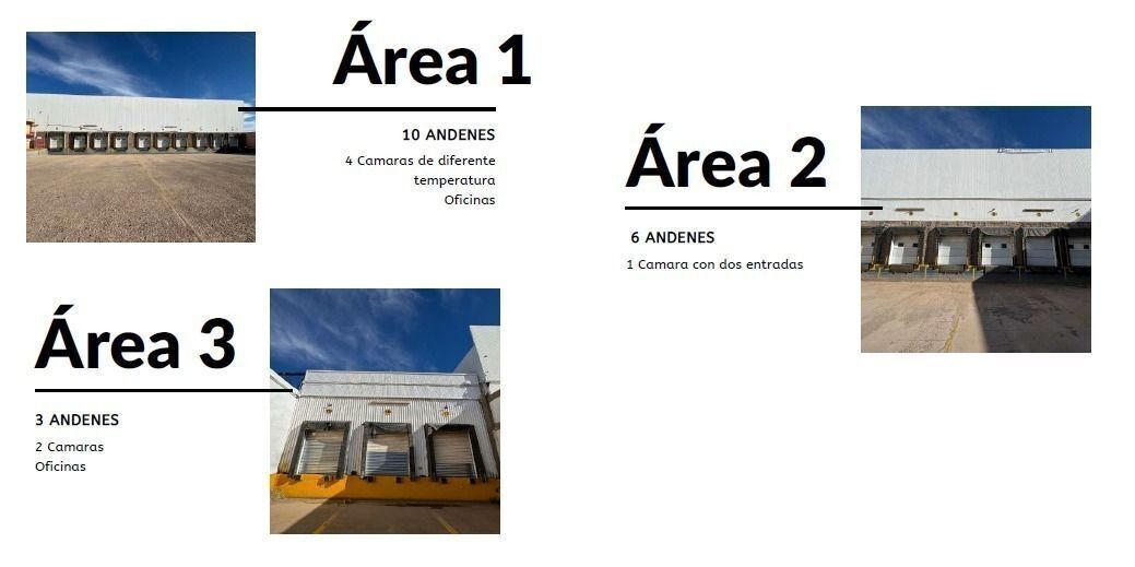 1 de 23