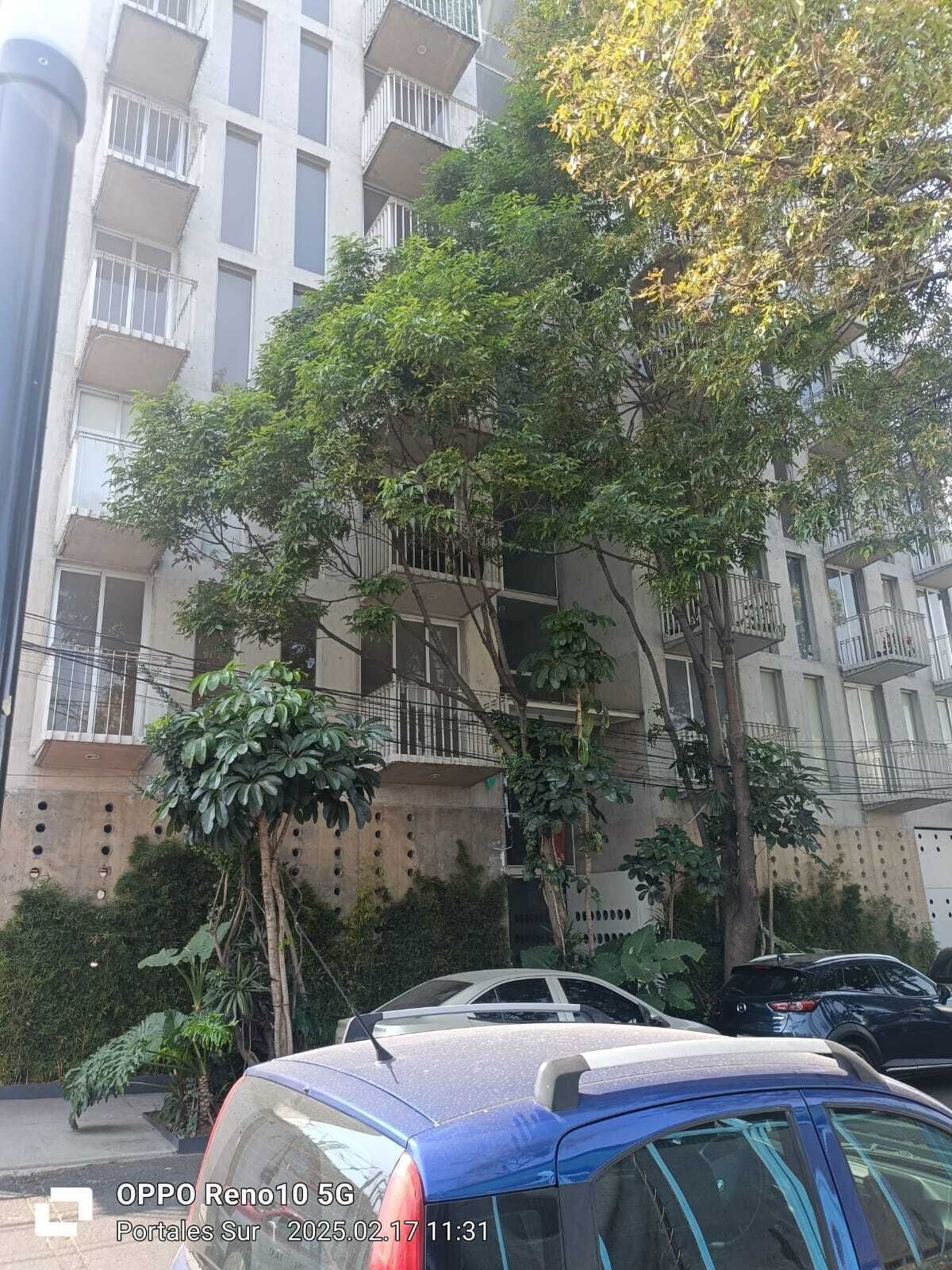 1 de 19