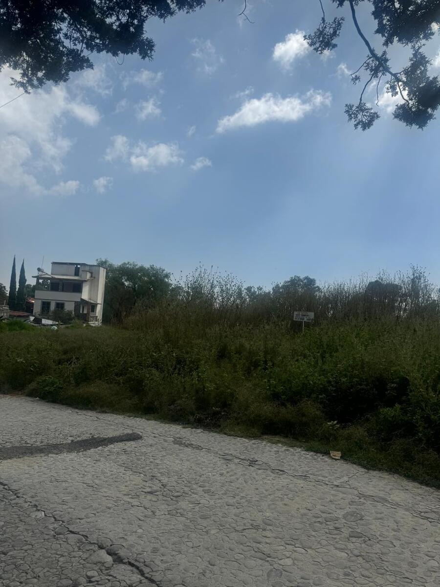 6 de 14
