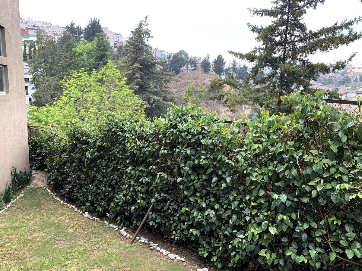 33 de 42: Jardin