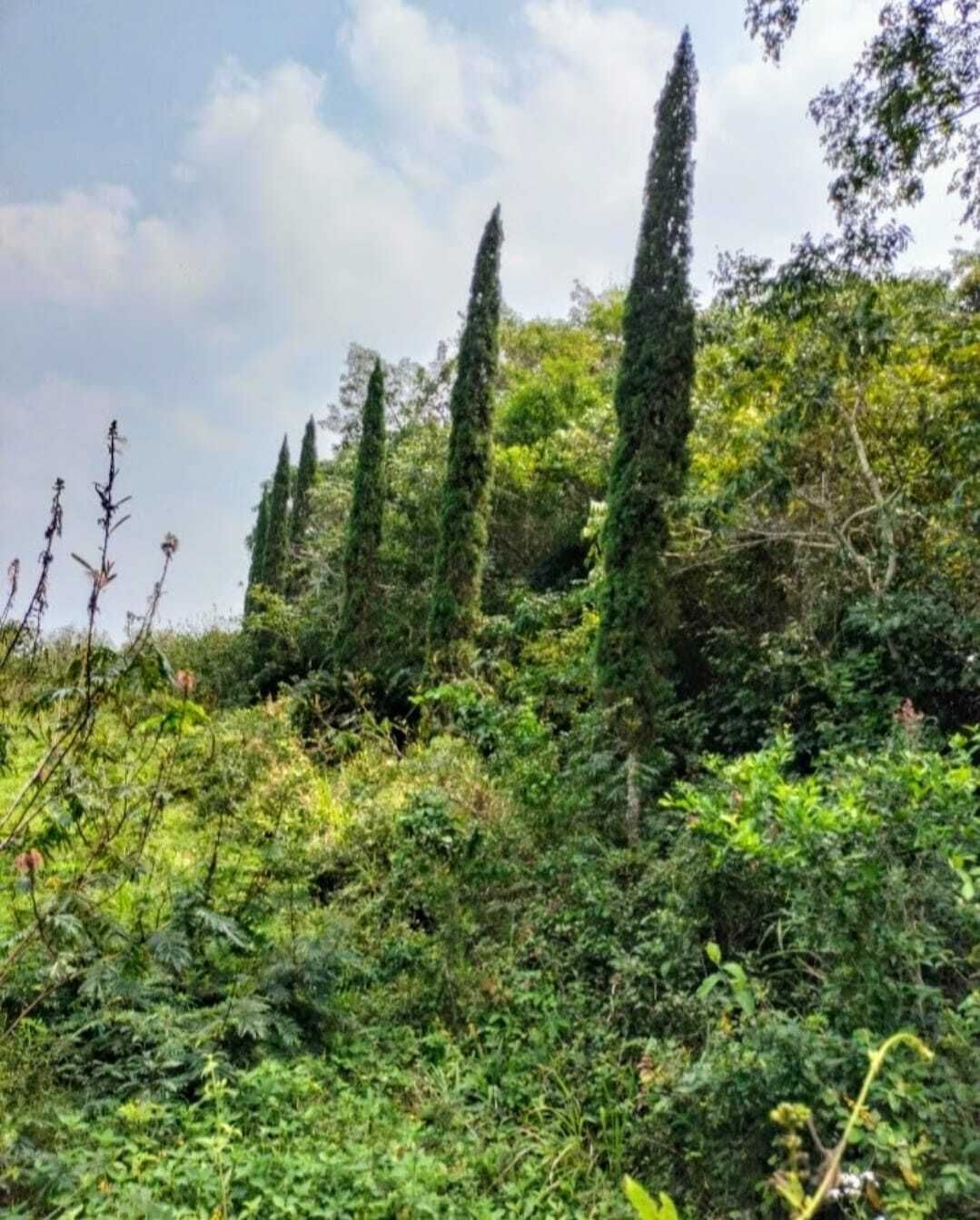 3 de 10