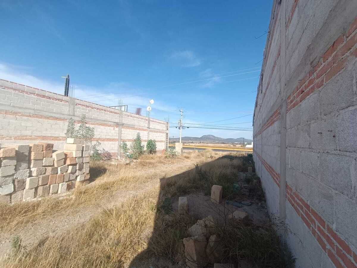 3 de 6