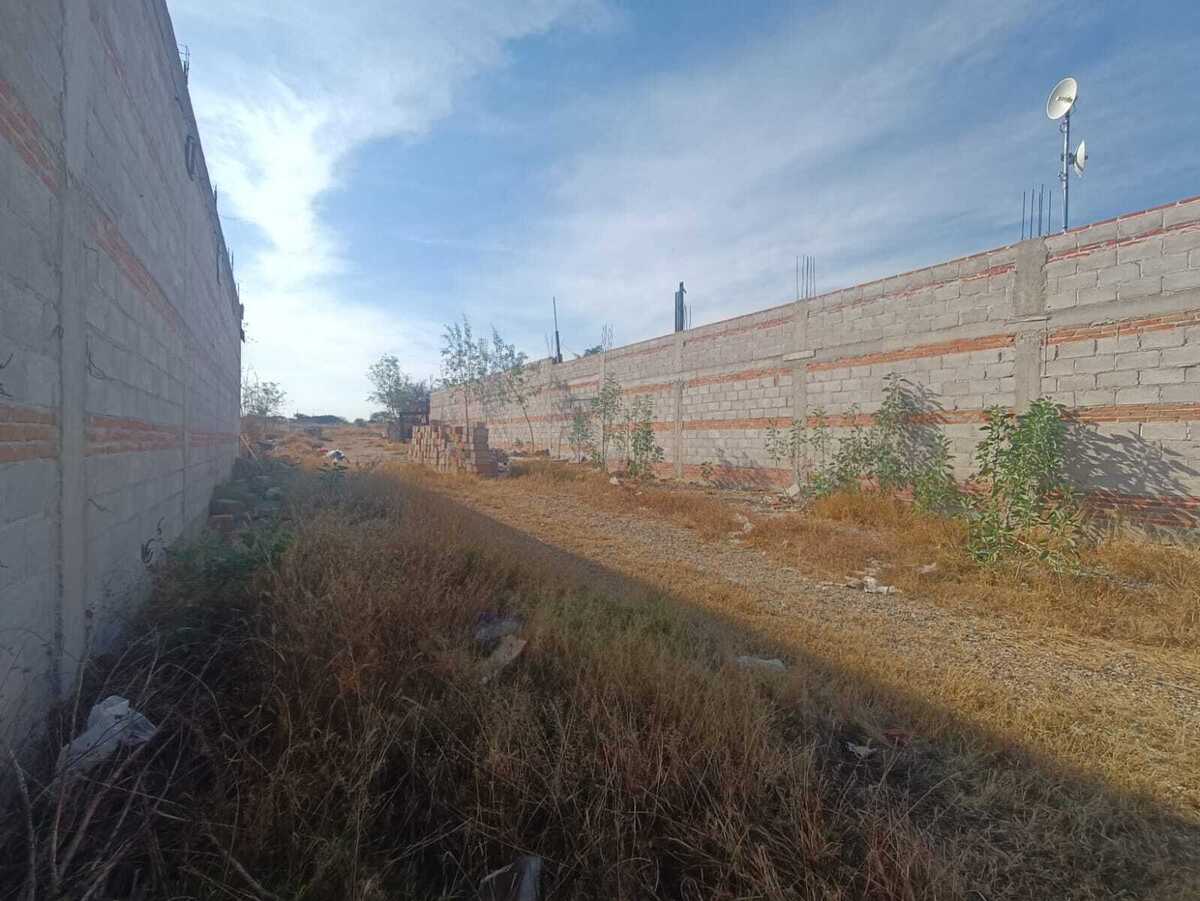 4 de 14