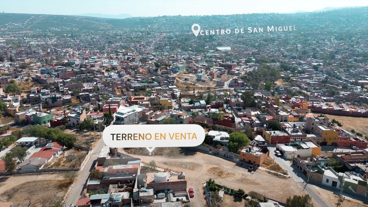 5 de 6