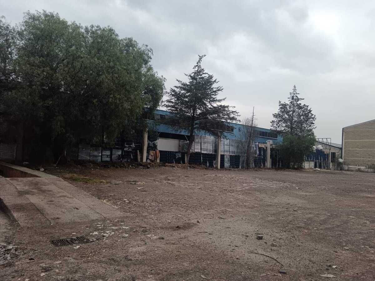 5 de 24