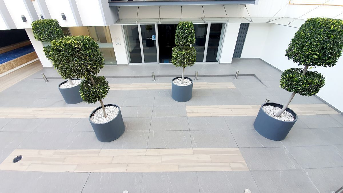 24 de 35: WIND-NAPOLES-RESIDENCIAL-ALBERCA-GIMNASIO-CDMX-INMUEBLE-VENT