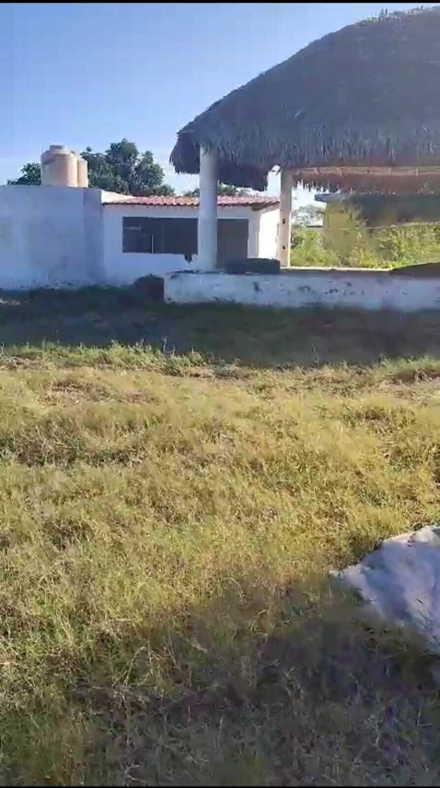 2 de 13