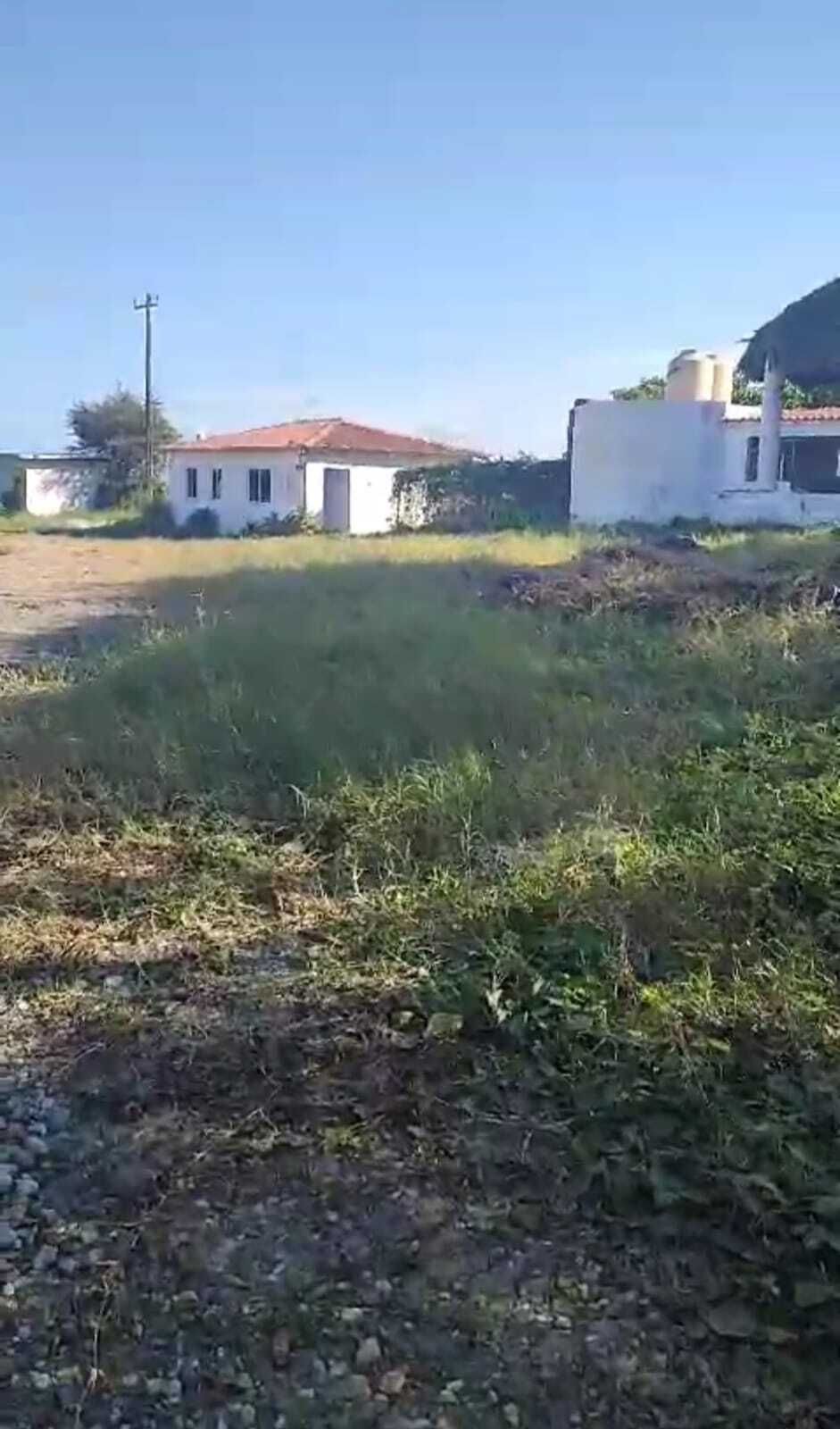 3 de 13